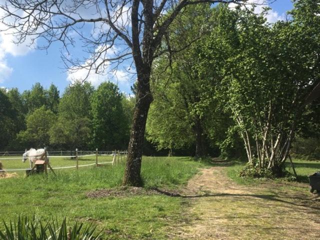Gite XL Le Clos de Lamie avec piscine privée Fossemagne Extérieur photo